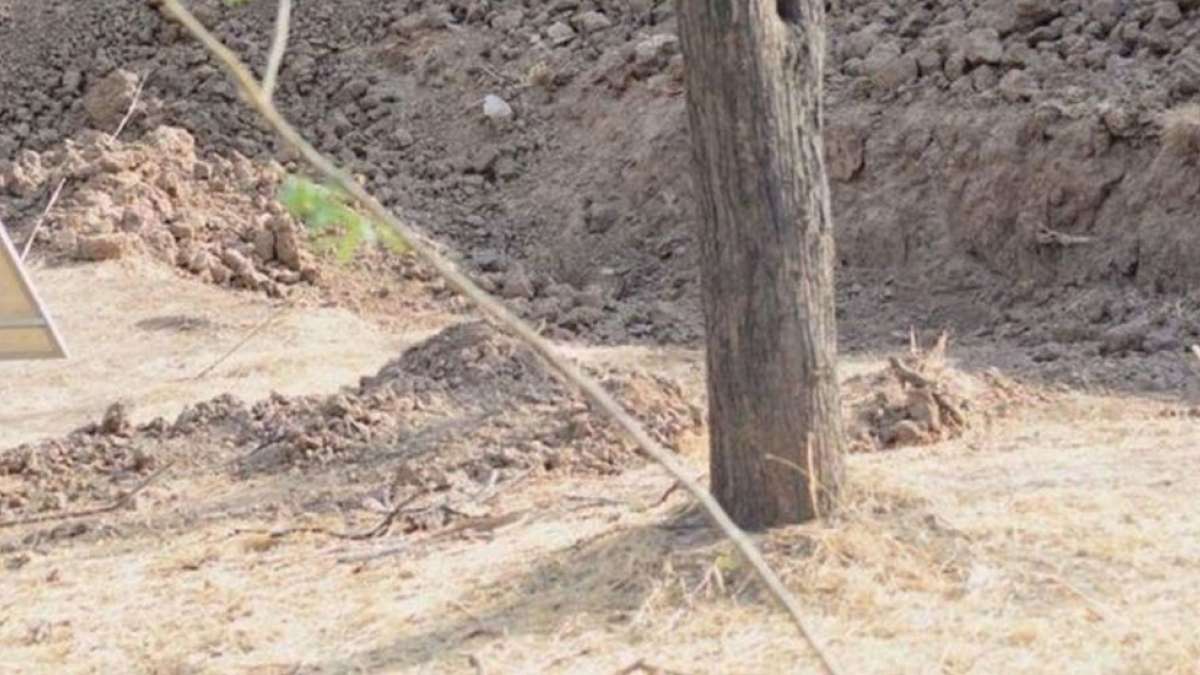 Spot the leopard picture is next viral thing on the internet. Give it a try Spot the leopard picture is next viral thing on the internet. Give it a try