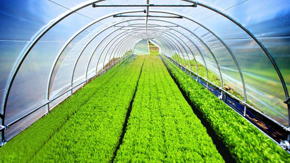 Hi-Tech Pipes launches awareness campaign on organic farming Hi-Tech Pipes launches awareness campaign on organic farming