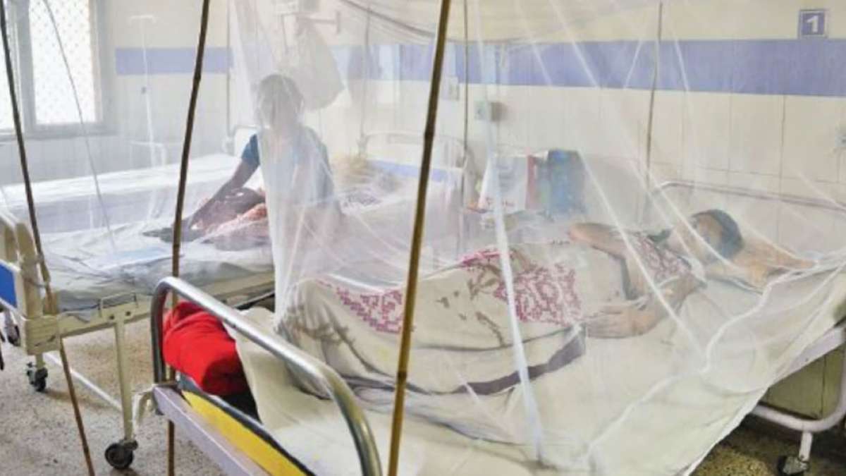 After flood, Dengue grips Bihar with 1400 registered cases After flood, Dengue grips Bihar with 1400 registered cases