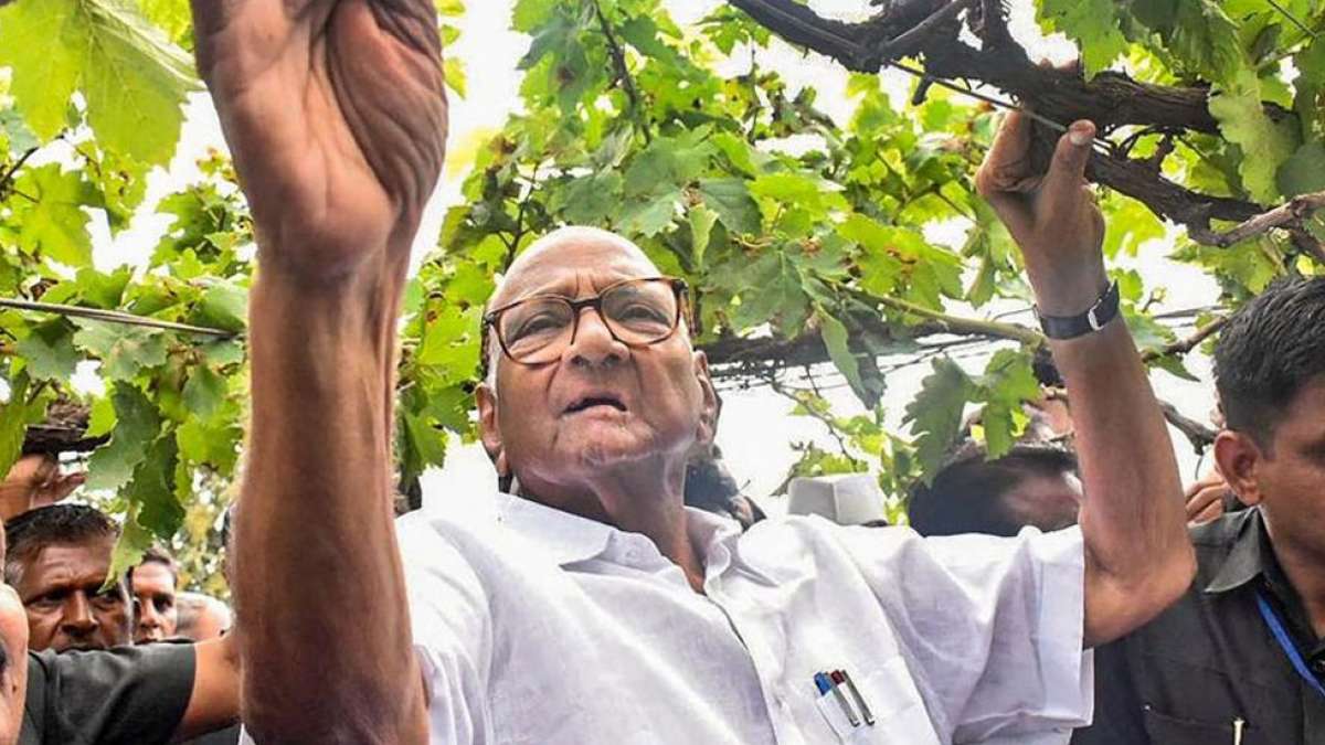 Ultimately, BJP-Sena will form government in Maharashtra: Sharad Pawar Ultimately, BJP-Sena will form government in Maharashtra: Sharad Pawar